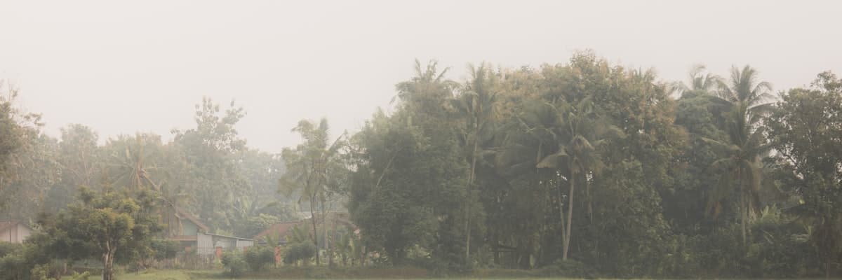 Ali Akbar Group banner