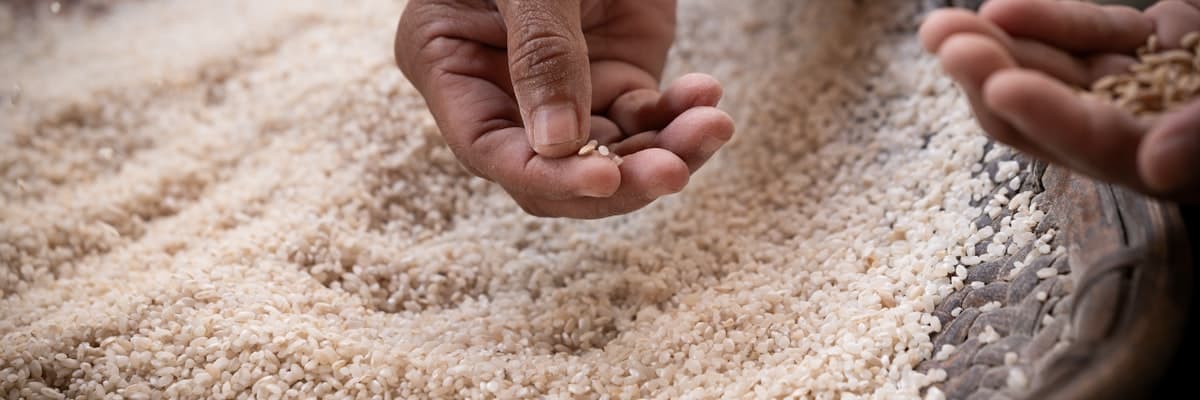 Garibsons / Galaxy Rice Mills banner