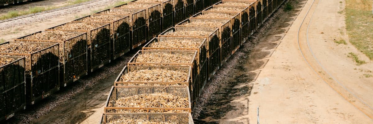 JDW Sugar Mills banner