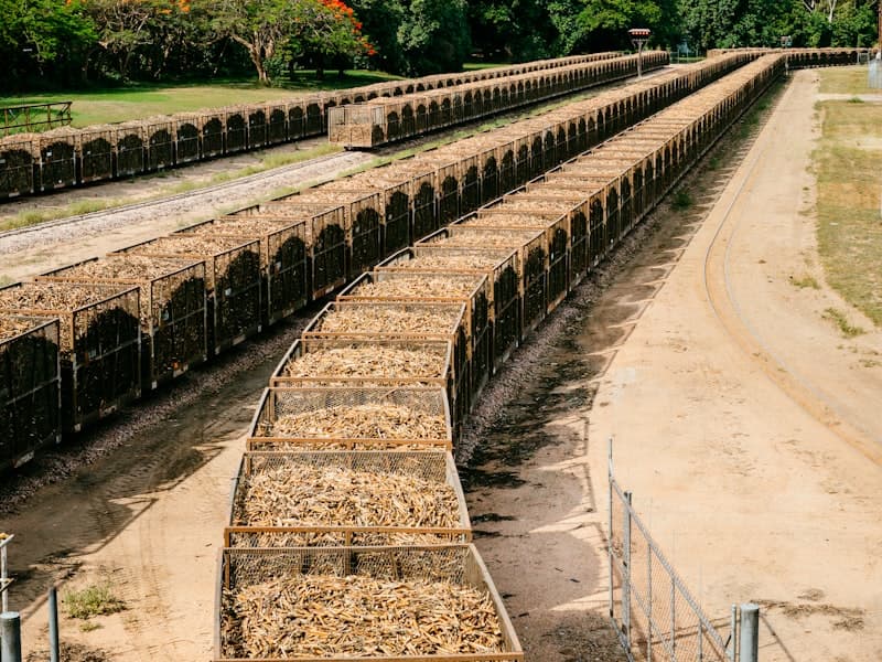Molasses (Bulk)