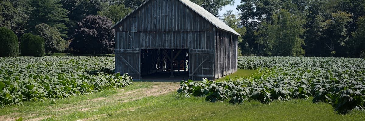 Khyber Tobacco Company banner