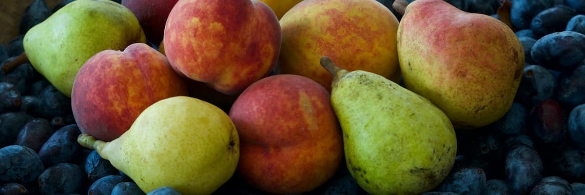 Mitchell's Fruit Farms banner