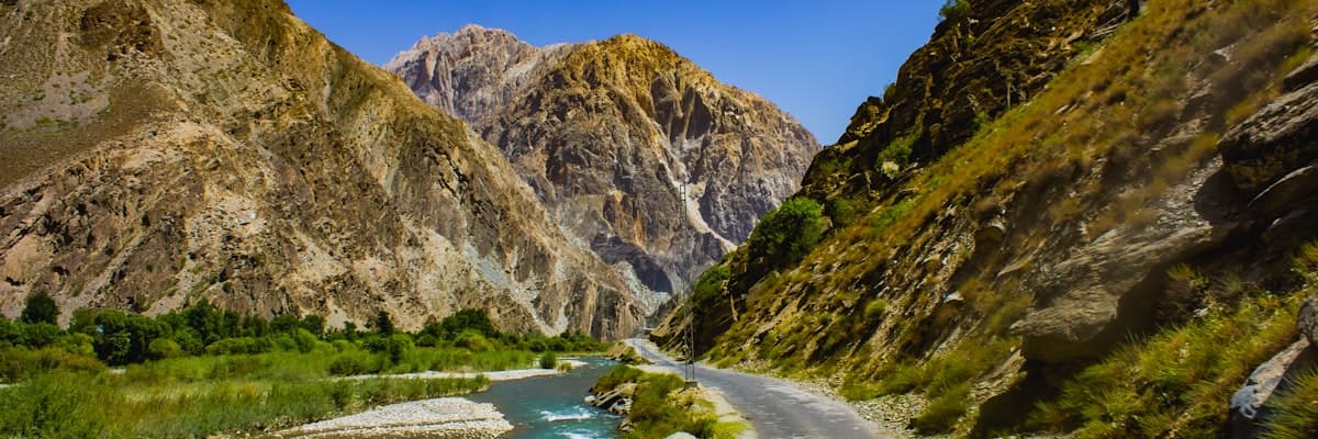 Travel Walji's banner