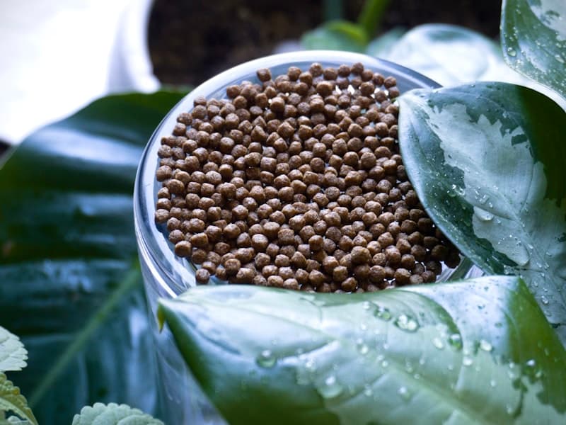 NPK Foliar Fertilizer