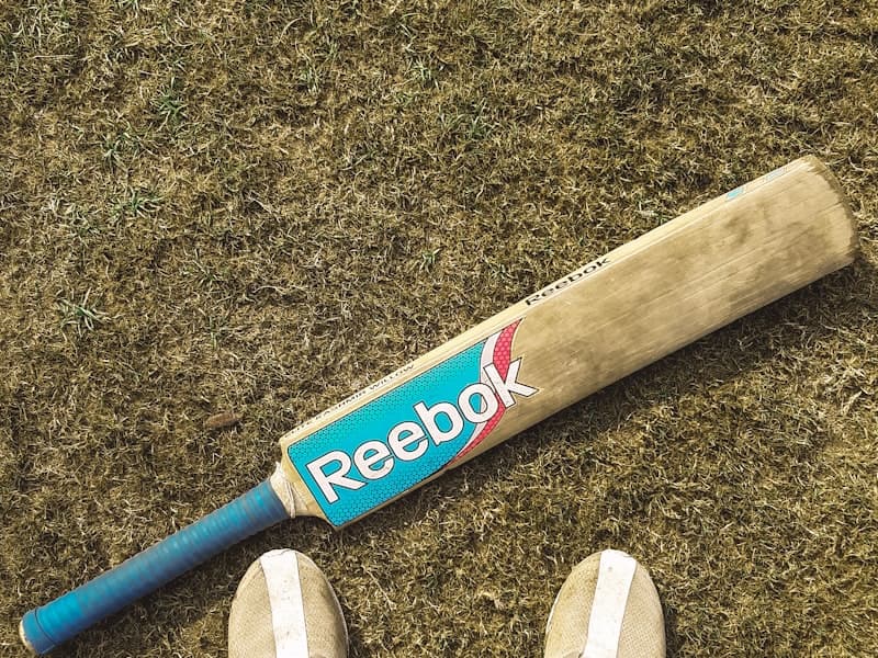 Grays Cricket Bat (English Willow)