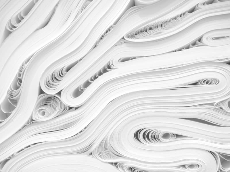 Century Paper Writing & Printing 80gsm