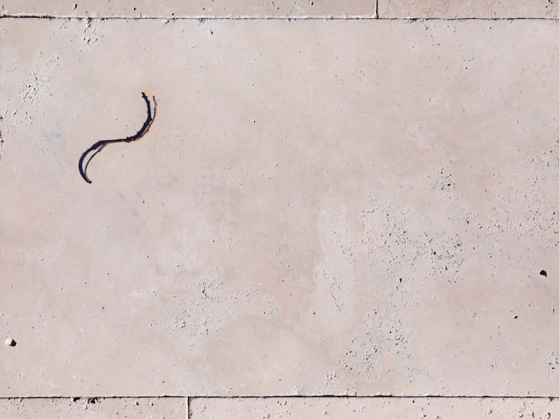 Frontier Travertine Walnut Tile