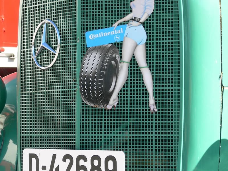 Servis Light Truck Tyre 195R15