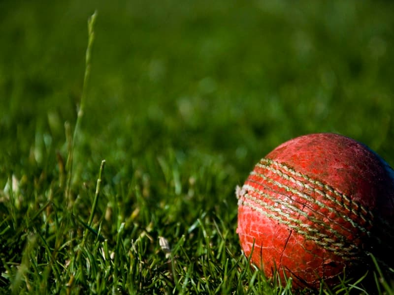 CA Sports Cricket Ball Leather