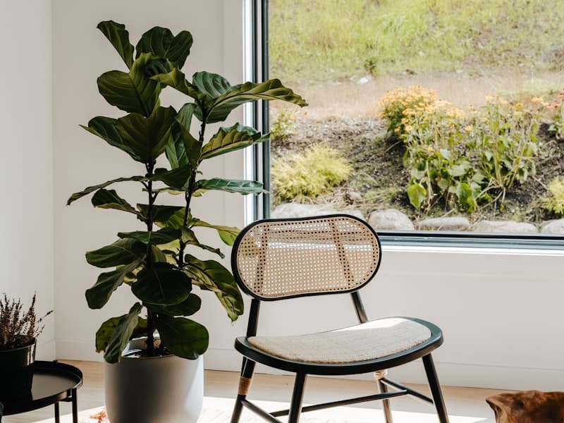 Habitt Accent Armchair