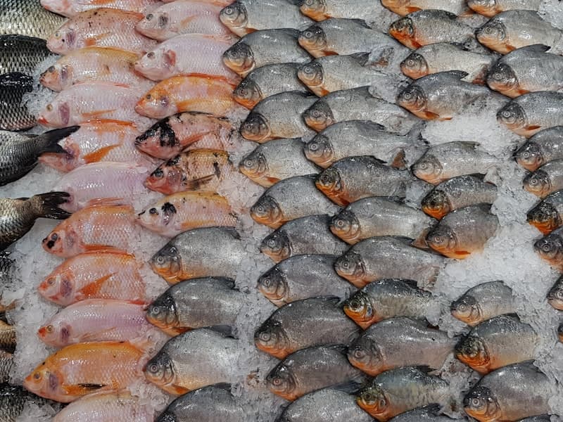 Frozen Pomfret Whole