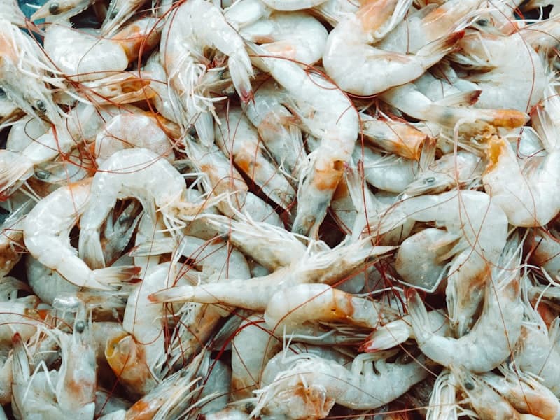 Frozen Vannamei Shrimp 16/20